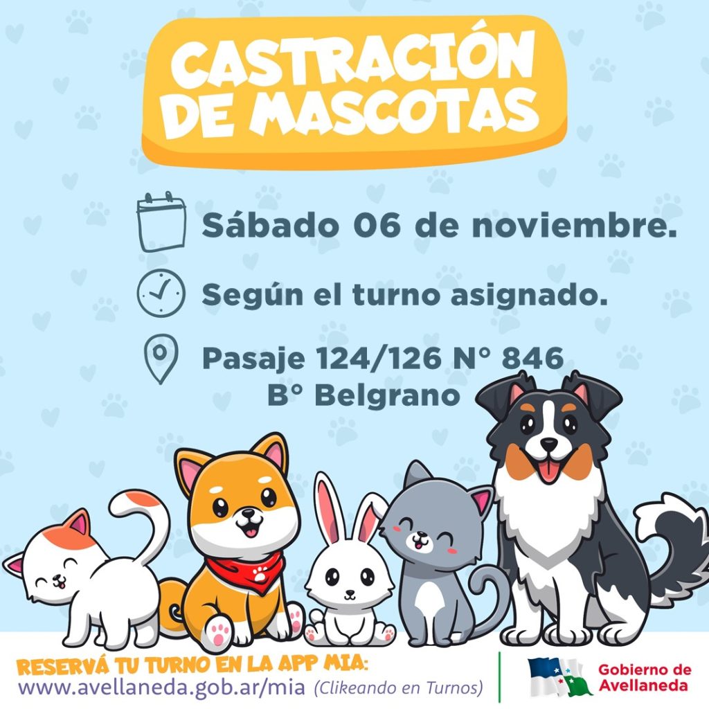 Castración de mascotas: Este sábado se realizarán en B° Belgrano