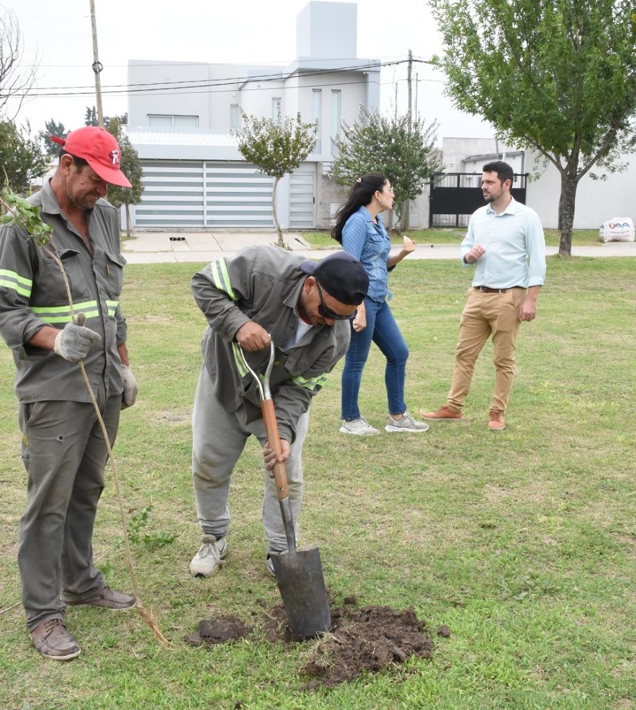 Plantación de árboles en Avellaneda: Un desafío que optimiza la política de espacios verdes