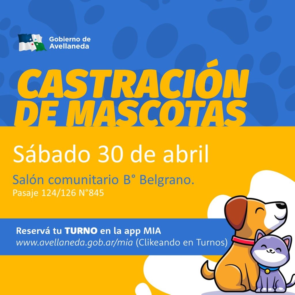 Castración de mascotas en Avellaneda: Este sábado, tendrá lugar en B° Belgrano