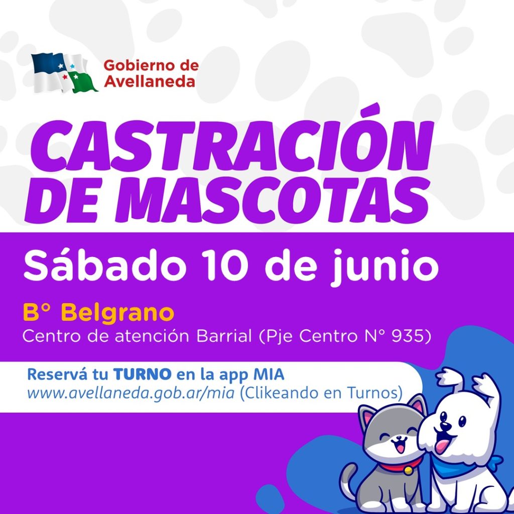 Castración de mascotas: Este sábado, llega a B° Belgrano